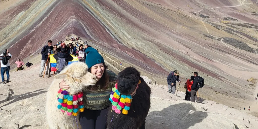 Person with llamas on mountain hike