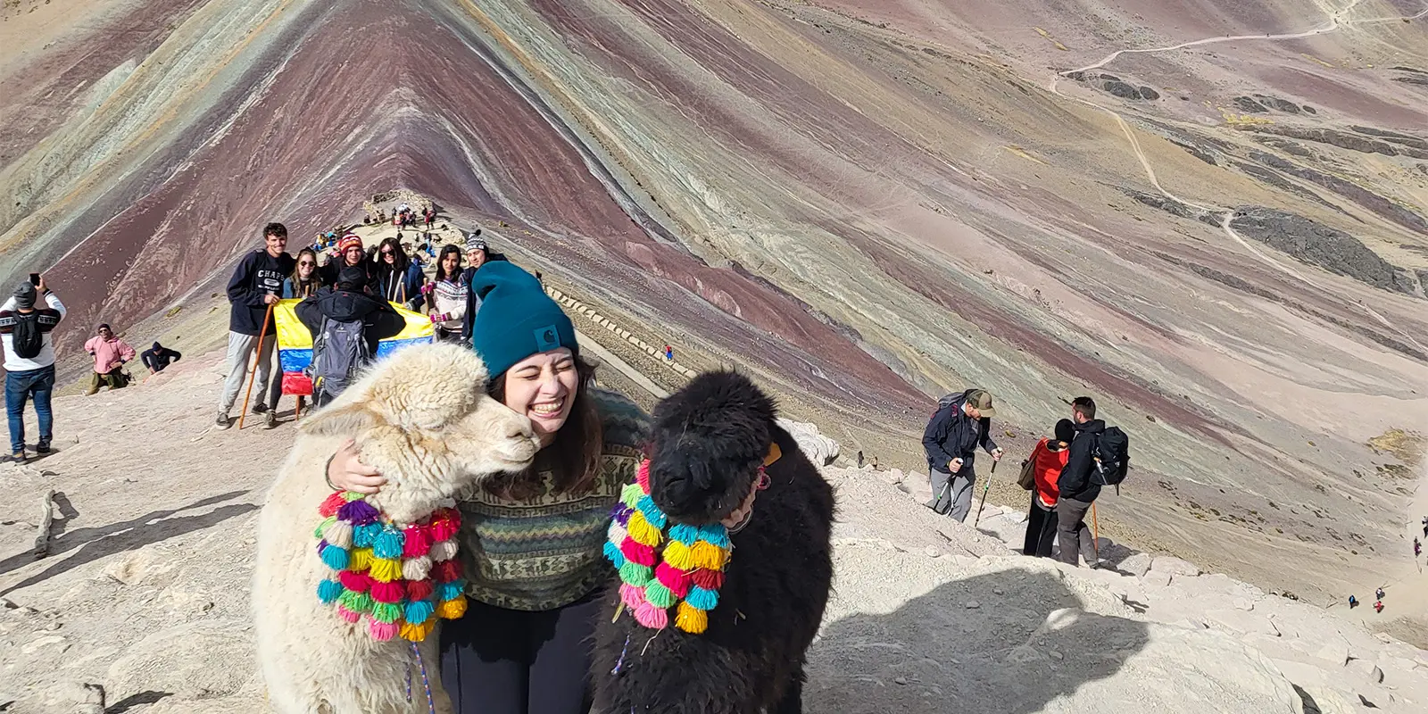 Person with llamas on mountain hike