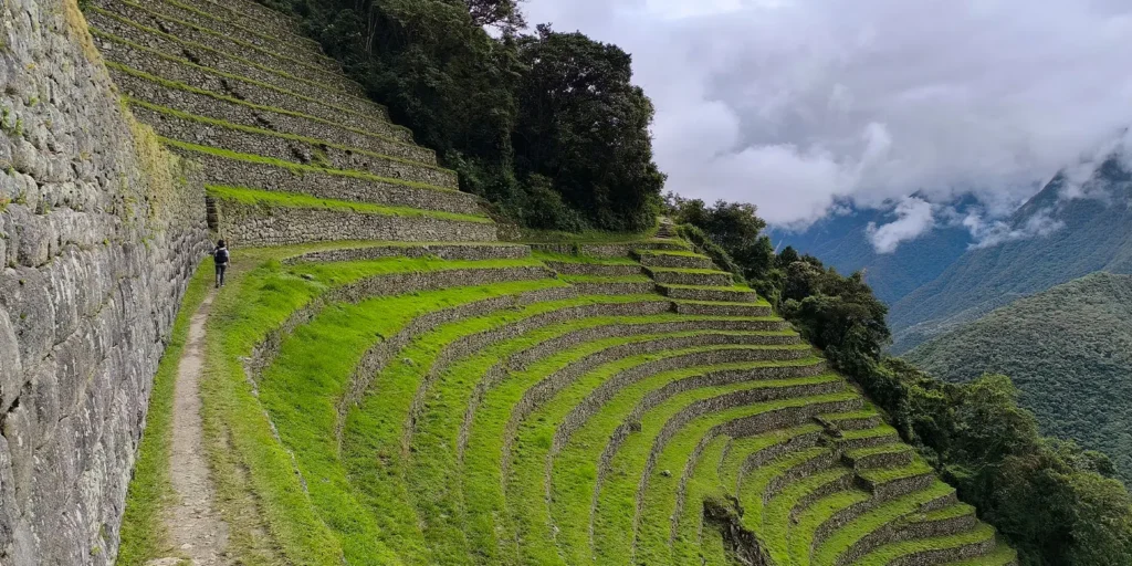wiñay wayna near to machu picchu