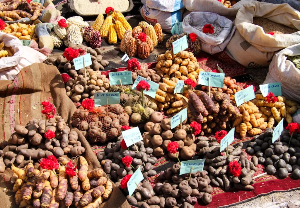 potato park pisac