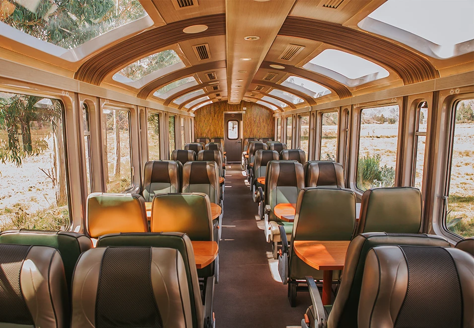 Vistadome train