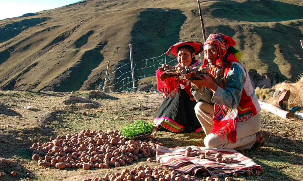 andean local people